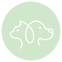 Adorable Mutts Rescue